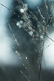 Sonic Central发布会23日晚间举行 展示索尼克新作情报